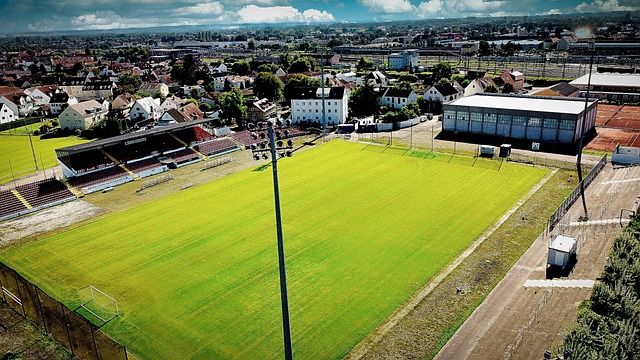 士的一场焦 士的一场焦